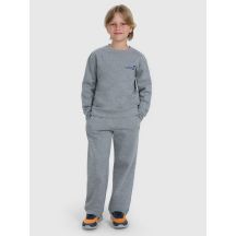 Boys' sweatpants 4F 4FJRAW25TTROM1670-20S