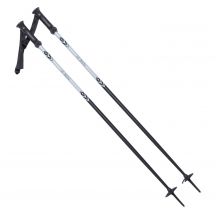 ALPINE SKI II poles