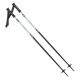ALPINE SKI II poles