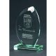 8. Engraved glass trophy with case