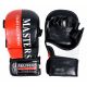 9. Masters MMA Gloves GFS-10 0110-02M