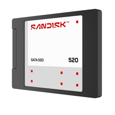 2. Sandisk 520 SATA SSD 500GB SDSS51500GAB