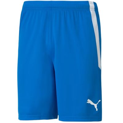 3. Puma teamLIGA M 704924 02 shorts
