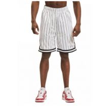 Karl Kani Small Signature Pinstripe Mesh Short M 6014921