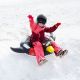 29. Meteor Penguin 16764 snow slide
