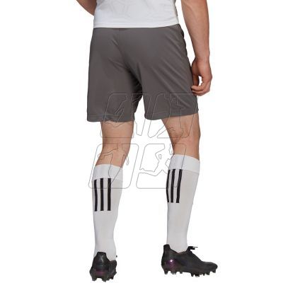 10. Adidas Entrada 22 M H57505 shorts