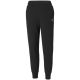 6. Puma ESS Sweatpants TR cl W 586842 51