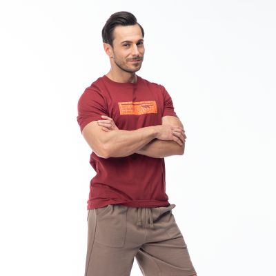 6. HAMILONI Men's Short Sleeve T-Shirt