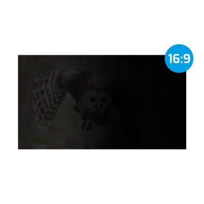 5. NATEC PRIVATIZATION FILTER OWL 27" 16:9 NFP-2118