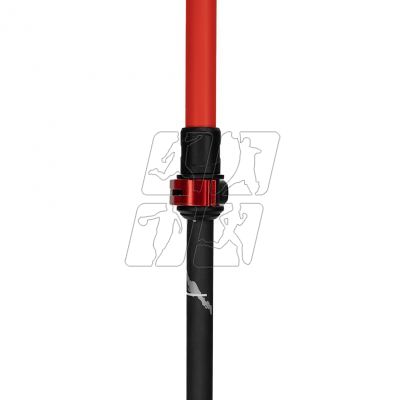 10. Alpinus Braunberg NX43601 Nordic walking poles