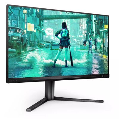 29. Philips Evnia 3000 25M2N3200U/00 computer monitor 62.2 cm (24.5") 1920 x 1080 px Full HD LCD Gray