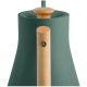 2. Fellow Stagg EKG Pro 0.9L Green Electric Kettle