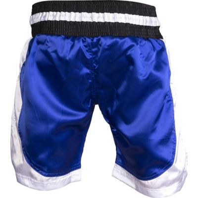 8. TOP TEN kick light shorts (WAKO APPROVED)