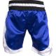 8. TOP TEN kick light shorts (WAKO APPROVED)