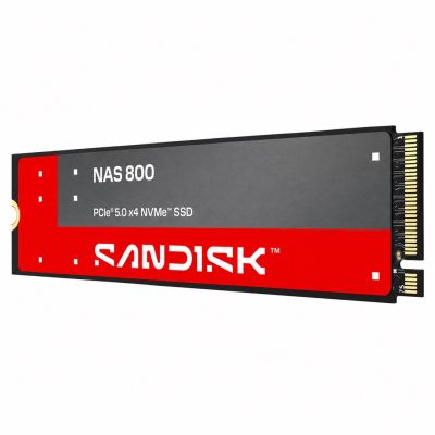 2. Sandisk 1.92 TB NAS 800 NVMe™ SSD SDSNP2192TAN