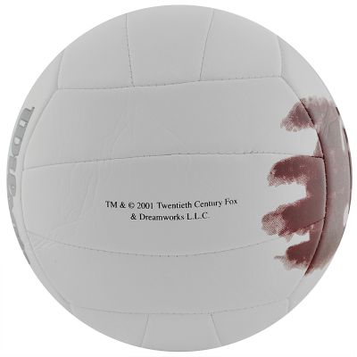 5. Wilson Mr Castaway WTH4615 Volleyball