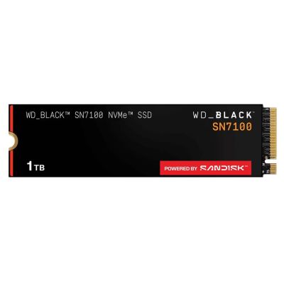 SanDisk WDS100T4X0E-00CJA0 1TB M.2 PCI Express 4.0 NVMe SSD Device