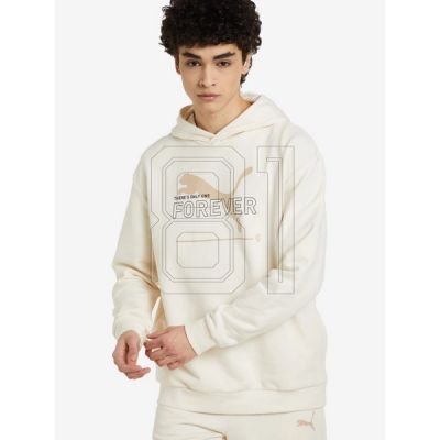 7. Puma FD Ess Btr M sweatshirt 673293 99