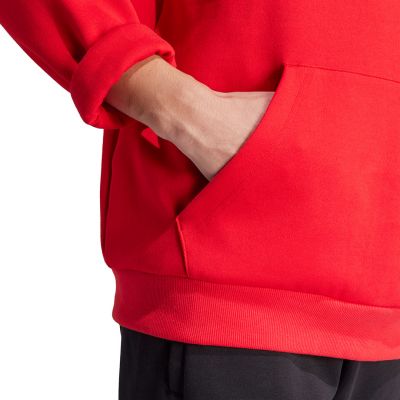 10. Adidas FI Bos Hd Oly M sweatshirt IS8338