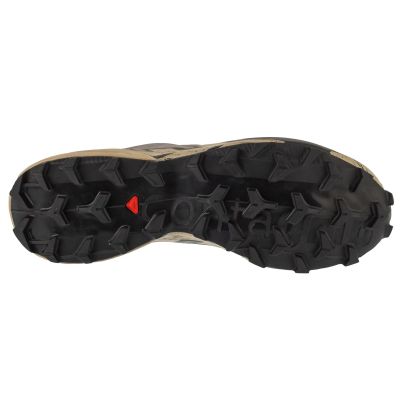 4. Salomon Speedcross 6 GTX L47853400 Gray 42