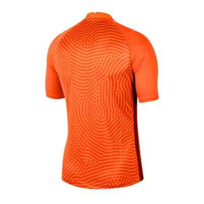 2. Nike Gardien III GK M BV6714-803 Goalkeeper Shirt