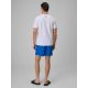 2. Men's 4F boardshorts with UPF50+ sun protection 4FRSS26UBDSM258-36S