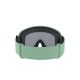 4. POC Opsin Ski Goggles Green