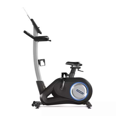 HORIZON FITNESS Paros 3.0 Upright Exercise Bike