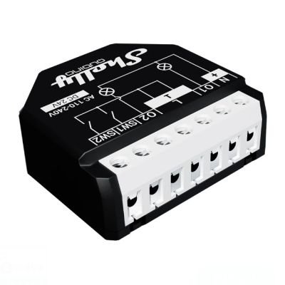 8. Shelly Qubino Wave 2PM Dual-Channel Z-Wave Controller