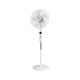 Teesa Standing Fan with Remote Control (White)