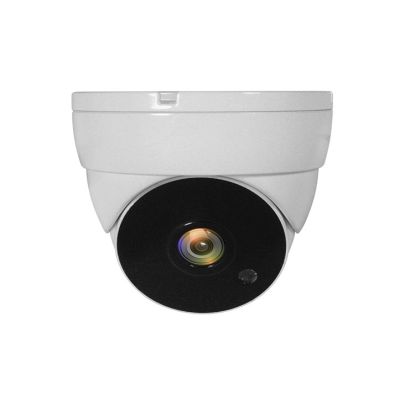 2. LevelOne ACS-5302 Dome CCTV Security Camera Indoor/Outdoor Ceiling