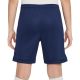 9. Nike Dri Fit Academy 25 Jr Shorts FZ9784 410