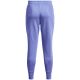 6. Under Armour Rival Fleece W 1356416 495 Pants