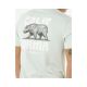 3. RIP CURL Desti Animals Tee Turquoise