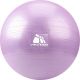 Meteor Gymnastics Ball 65 cm Purple 31173