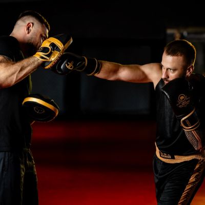 3. Multi-layer boxing gloves - ProFighter Gold - Legacy Series