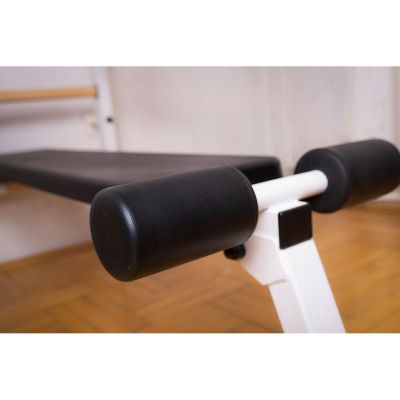 24. WOODEN AND METAL GYMNASTIC WALL BAR WITH BAR, BENCH AND ACCESSORIES BENCHK 233W