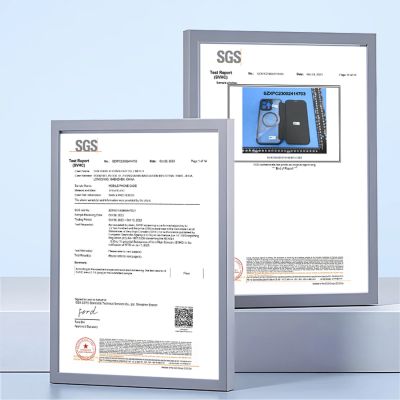 12. Dux Ducis Skin X Pro iPhone 17 Pro Case with Wallet, MagSafe Compatible - Blue