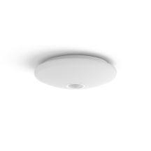 Philips Functionality Mauve 16W Ceiling Lamp