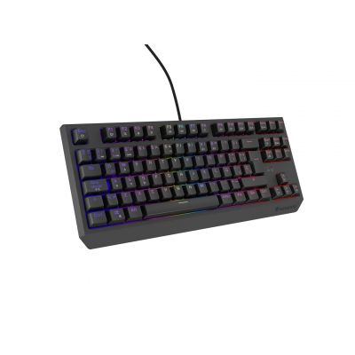 16. GENESIS Thor 230 TKL Gaming Keyboard USB QWERTY Spanish Black