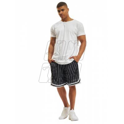 4. Karl Kani Small Signature Pinstripe Mesh Short M 6014920