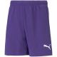 3. Puma teamRise Short Jr 704943 10