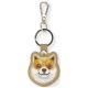Nimmy Glasses Cool Dog Tracker Case - Brown