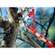 3. Amboss Baumschere RC-M garden pruner, multi-star
