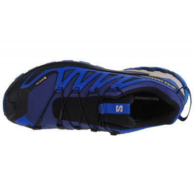 3. Salomon XA Pro 3D v9 GTX M 472703 Running Shoes