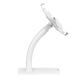 5. MACLEAN UNIVERSAL WALL/DESK TABLET HOLDER WITH LOCK 7.9"–11" WHITE MC-468W