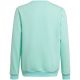 2. Adidas Entrada 22 Sweat Top Jr HC5042 sweatshirt