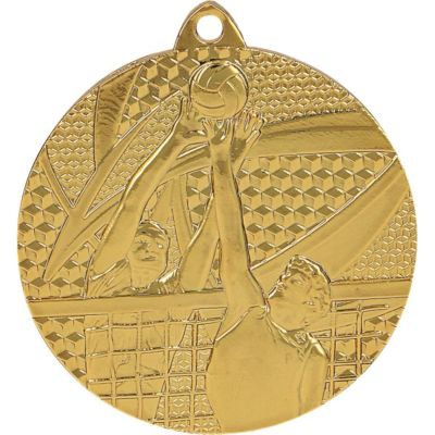 9. gold medal - volleyball
