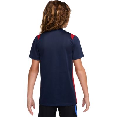 2. Nike Paris Saint-Germain Academy Pro Kids' T-Shirt Navy II1664 410