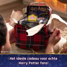 Interactive Harry Potter Bitzee